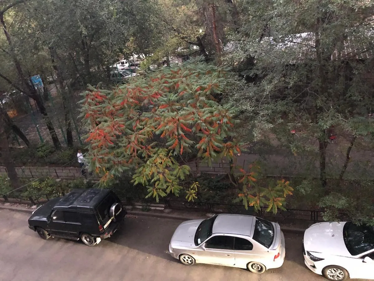 Cozy Apartment Near The Historical Center Казахстан